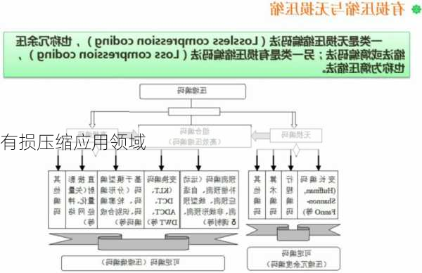 有损压缩应用领域