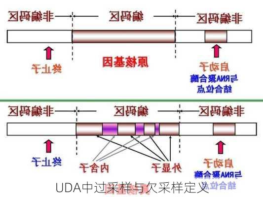 UDA中过采样与欠采样定义