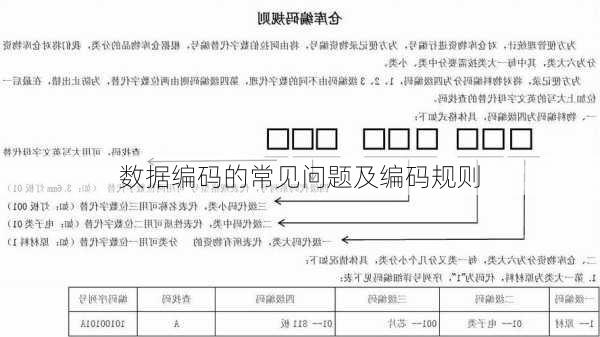 数据编码的常见问题及编码规则