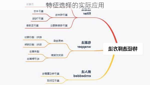 特征选择的实际应用