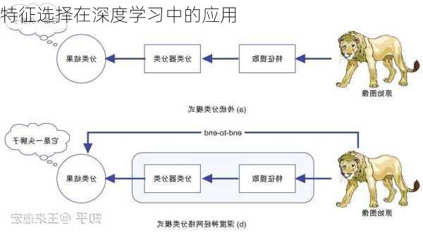 特征选择在深度学习中的应用