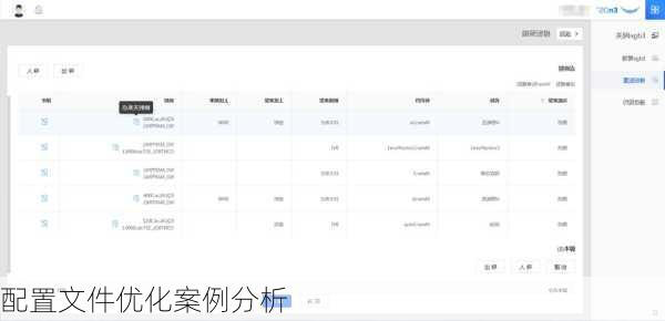 配置文件优化案例分析