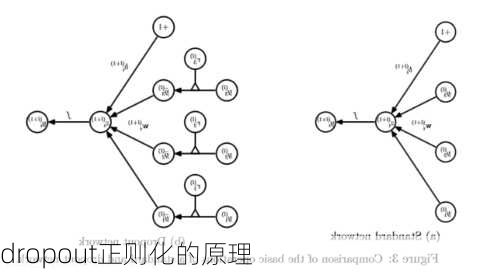 dropout正则化的原理