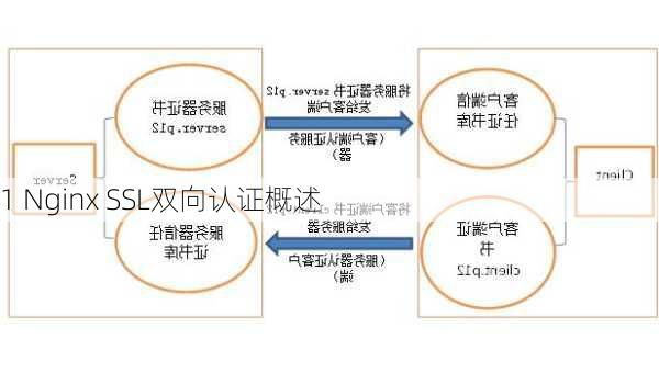 1 Nginx SSL双向认证概述