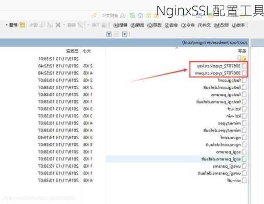 NginxSSL配置工具