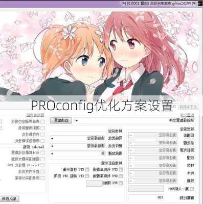 PROconfig优化方案设置