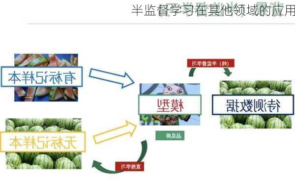 半监督学习在其他领域的应用