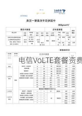 电信VoLTE套餐资费