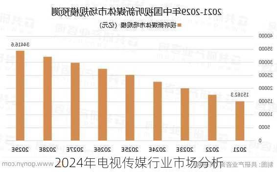 2024年电视传媒行业市场分析