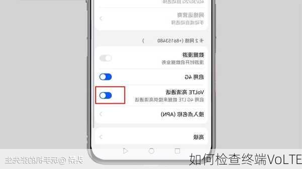 如何检查终端VoLTE