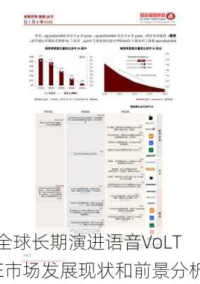 全球长期演进语音VoLTE市场发展现状和前景分析