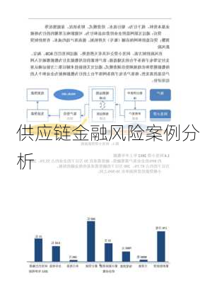 供应链金融风险案例分析