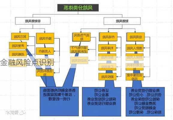 金融风险点识别