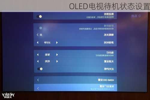 OLED电视待机状态设置