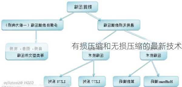 有损压缩和无损压缩的最新技术