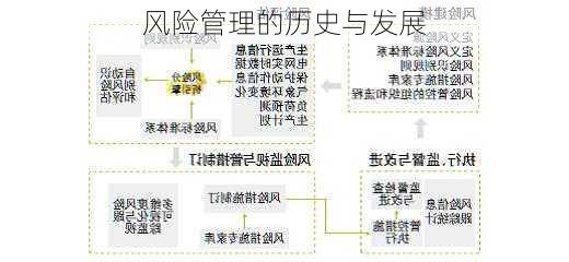 风险管理的历史与发展