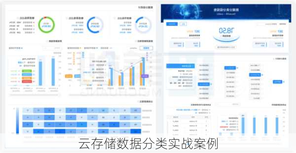 云存储数据分类实战案例