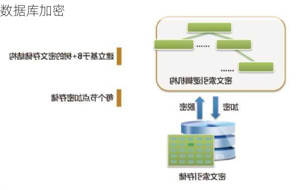 数据库加密