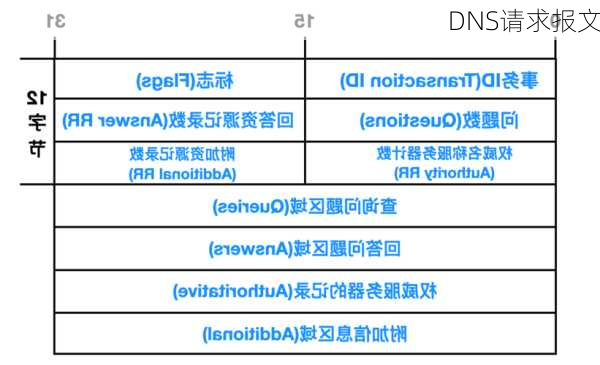 DNS请求报文