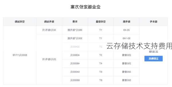 云存储技术支持费用