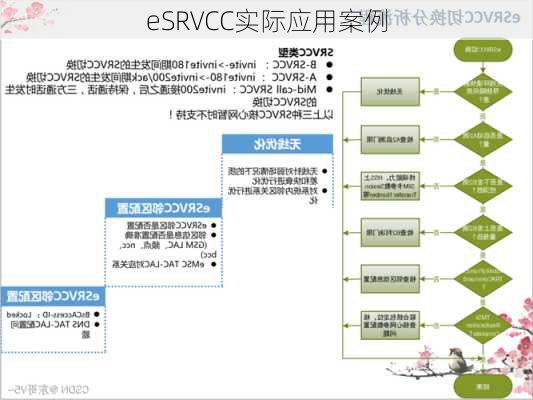 eSRVCC实际应用案例