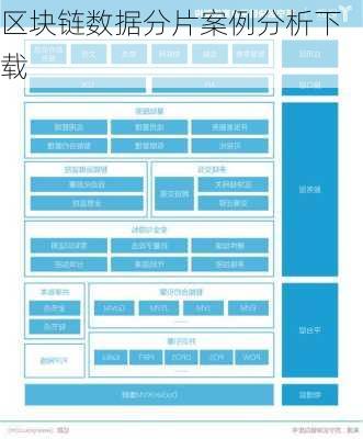 区块链数据分片案例分析下载