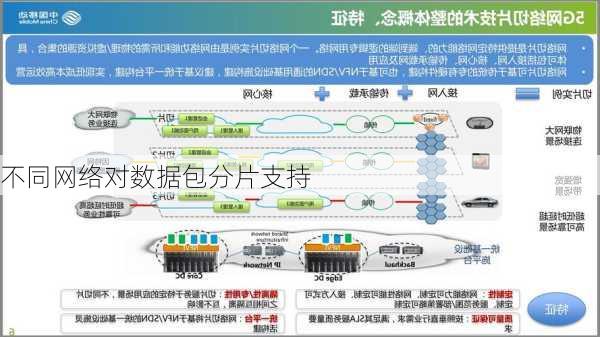 不同网络对数据包分片支持