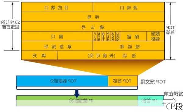 TCP段