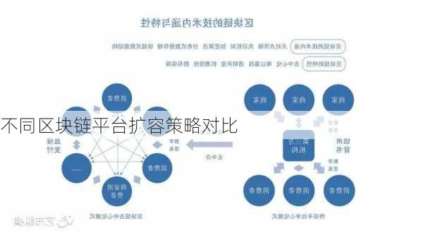 不同区块链平台扩容策略对比