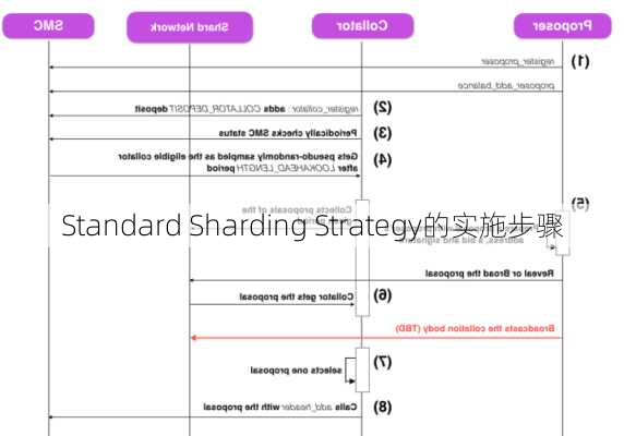 Standard Sharding Strategy的实施步骤