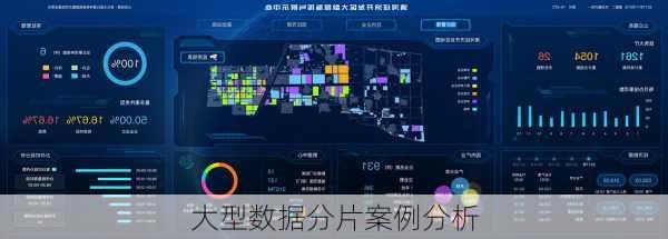 大型数据分片案例分析