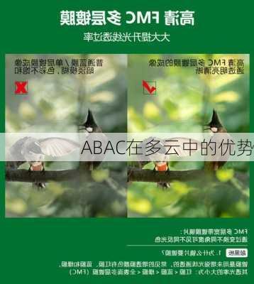 ABAC在多云中的优势