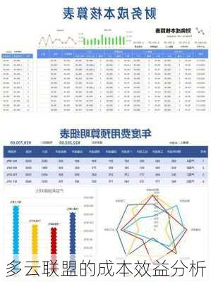 多云联盟的成本效益分析