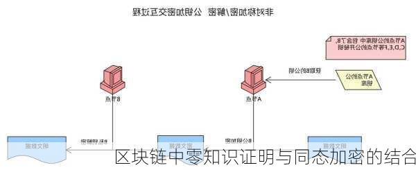 区块链中零知识证明与同态加密的结合