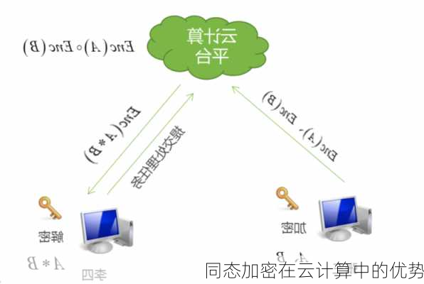 同态加密在云计算中的优势