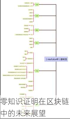 零知识证明在区块链中的未来展望