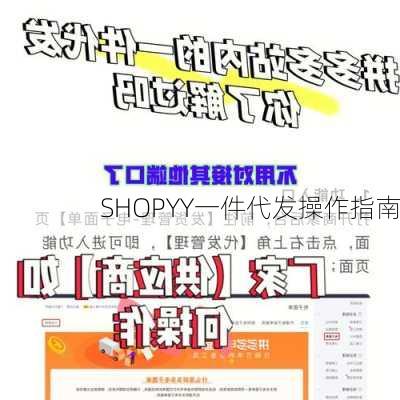 SHOPYY一件代发操作指南