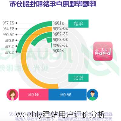 Weebly建站用户评价分析