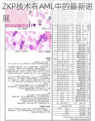 ZKP技术在AML中的最新进展