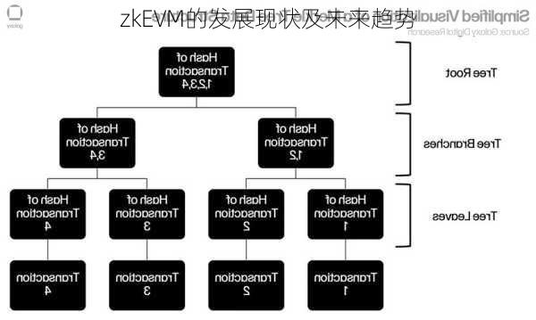 zkEVM的发展现状及未来趋势