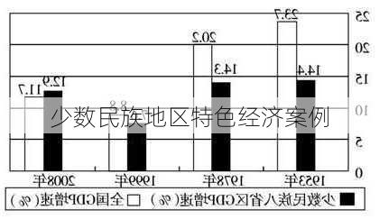 少数民族地区特色经济案例