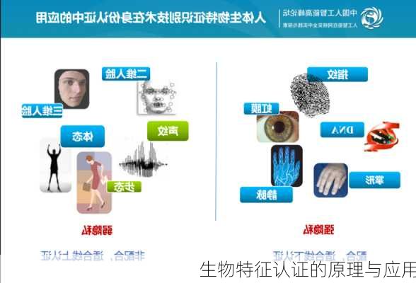 生物特征认证的原理与应用