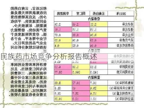 民族药市场竞争分析报告概述