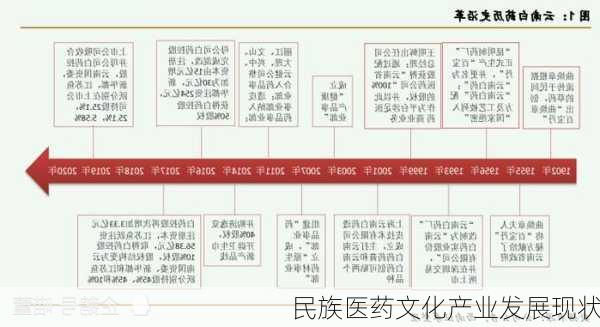 民族医药文化产业发展现状