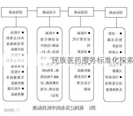 民族医药服务标准化探索