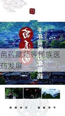 苗药藏药等民族医药发展