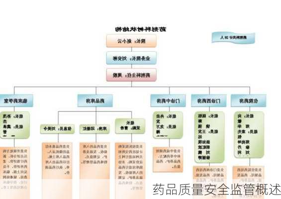 药品质量安全监管概述