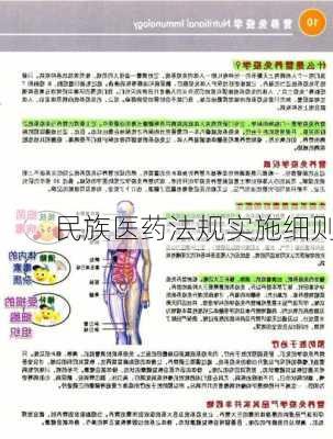 民族医药法规实施细则