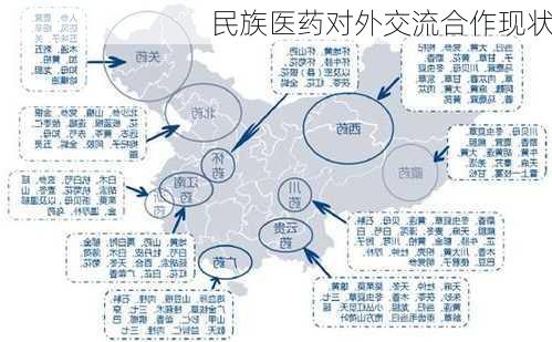 民族医药对外交流合作现状