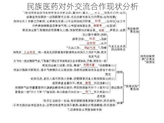 民族医药对外交流合作现状分析